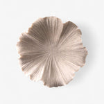 Ribbed Shell Bowl - Pure Apotheca