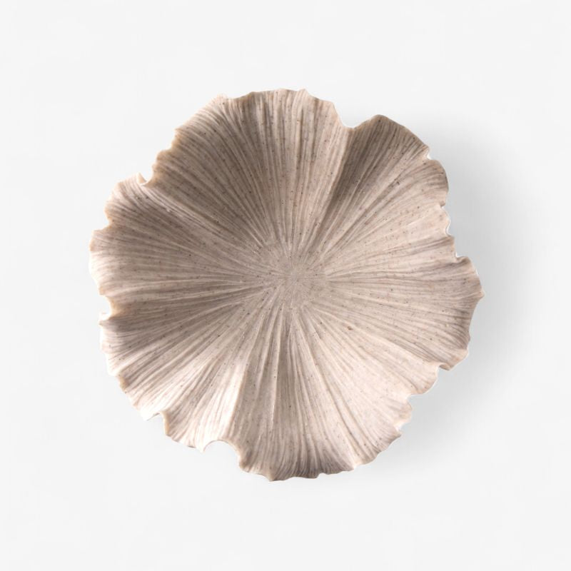 Ribbed Shell Bowl - Pure Apotheca