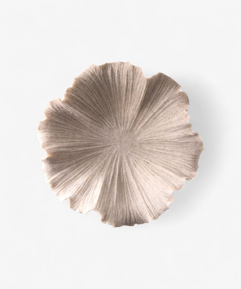 Ribbed Shell Bowl - Pure Apotheca