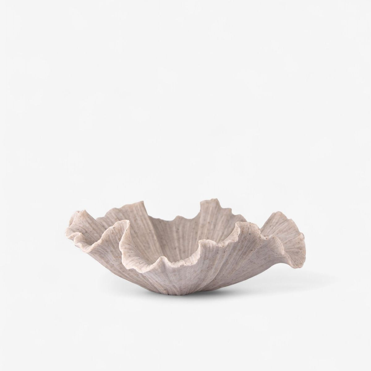 Ribbed Shell Bowl - Pure Apotheca