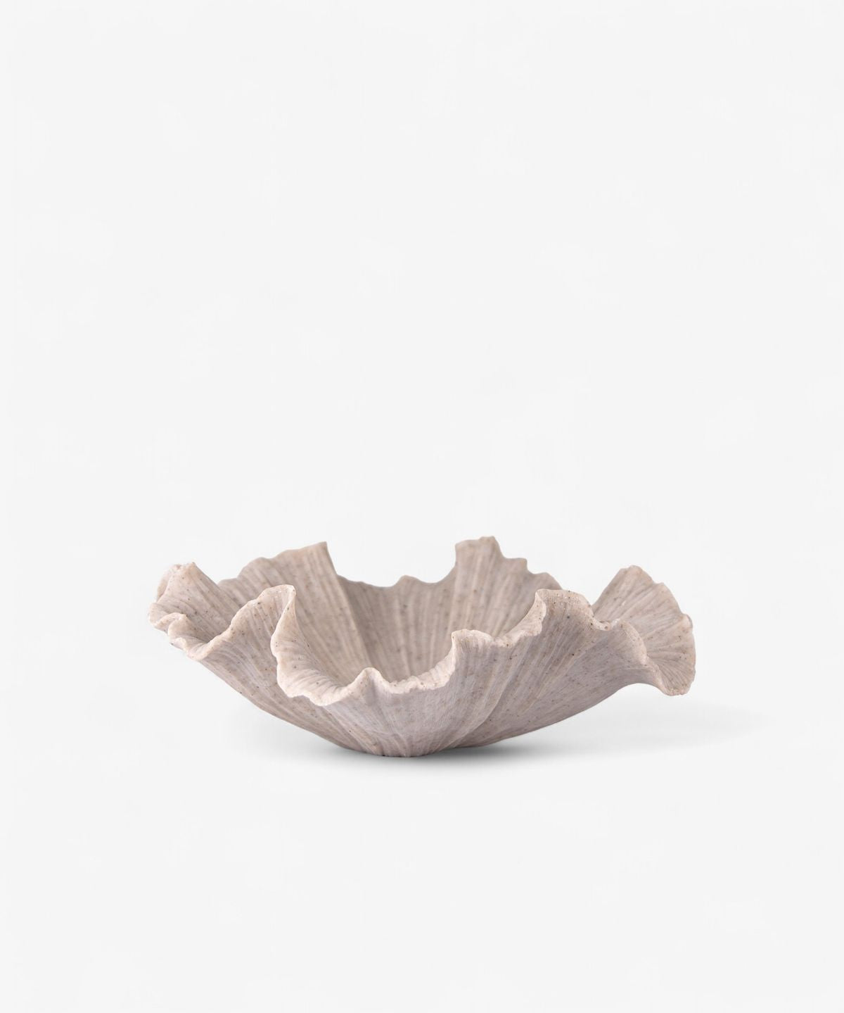 Ribbed Shell Bowl - Pure Apotheca