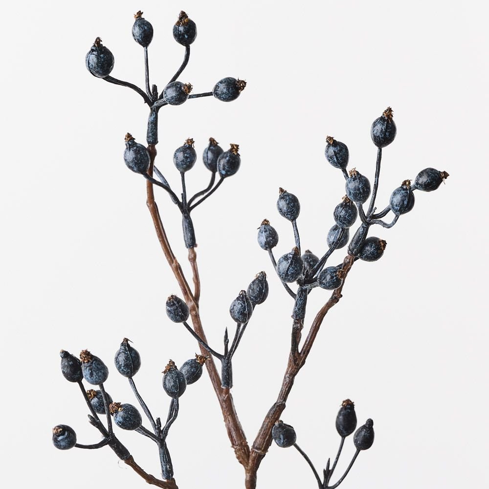 Rosehip Spray Blue 61cm - Pure Apotheca