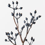 Rosehip Spray Blue 61cm - Pure Apotheca
