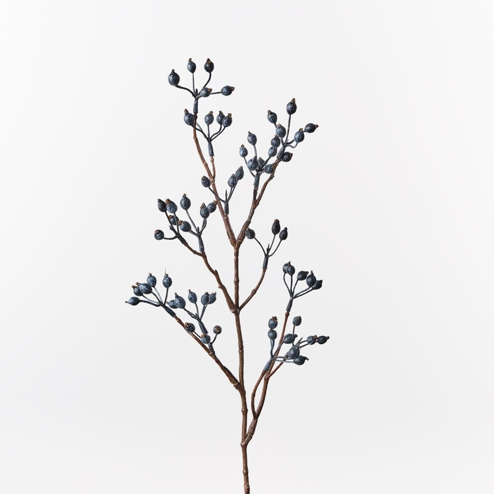 Rosehip Spray Blue 61cm - Pure Apotheca