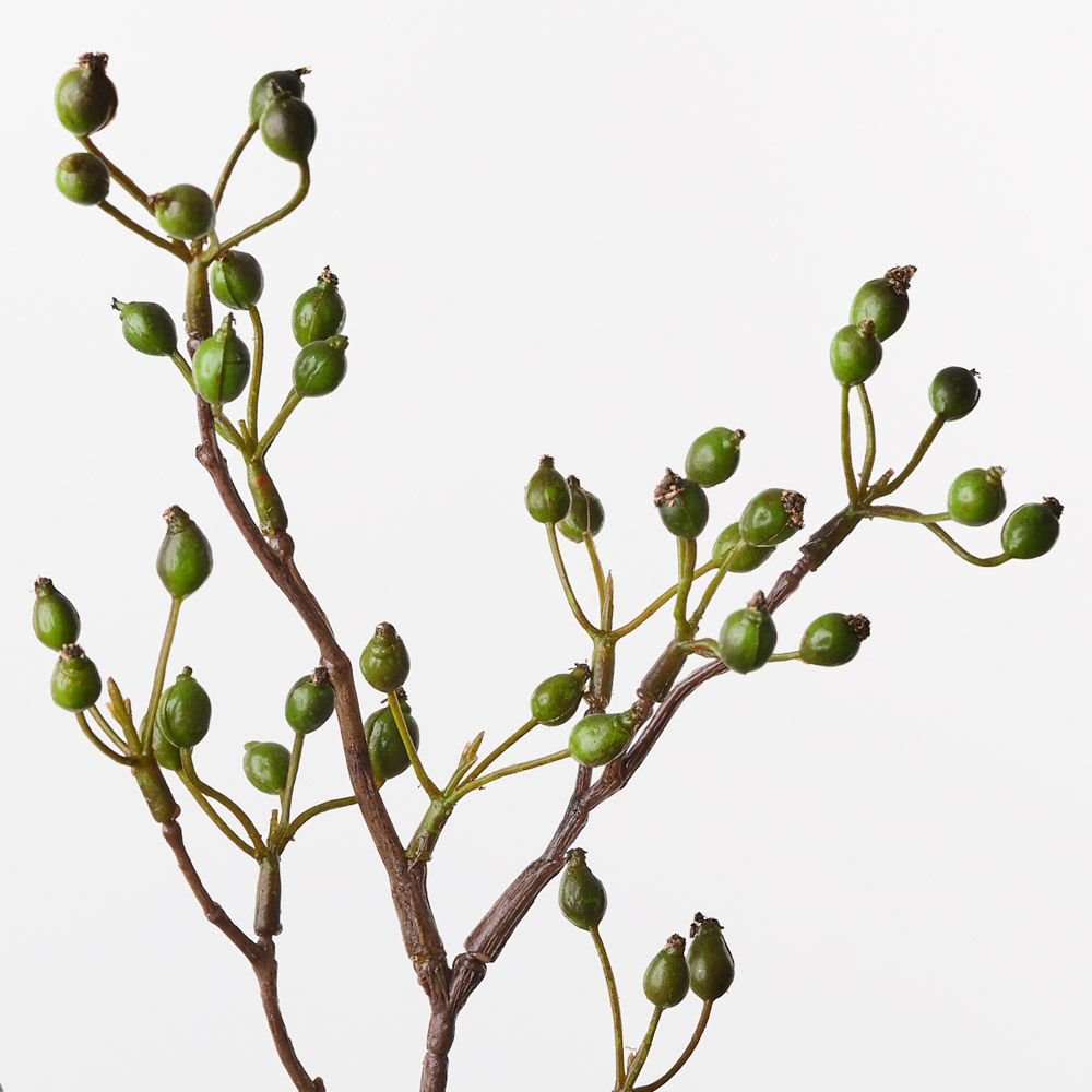 Rosehip Spray Green 61cm - Pure Apotheca