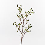 Rosehip Spray Green 61cm - Pure Apotheca