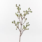 Rosehip Spray Green 61cm - Pure Apotheca