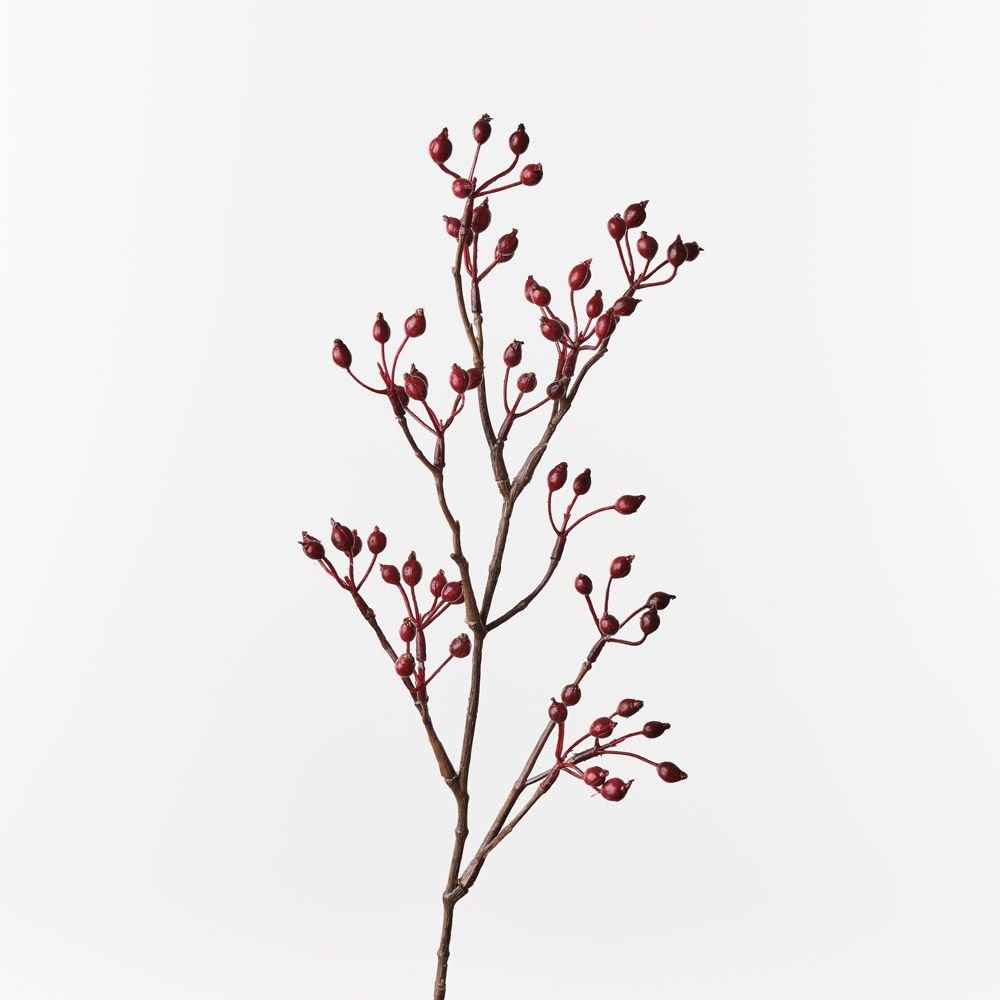 Rosehip Spray Red 61cm - Pure Apotheca