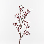 Rosehip Spray Red 61cm - Pure Apotheca