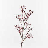 Rosehip Spray Red 61cm - Pure Apotheca