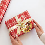 Santa Sleigh Ride Enamel Ornament - Pure Apotheca