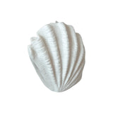 Scallop Resin Outddoor Lamp 35.5x18x28cm - Pure Apotheca