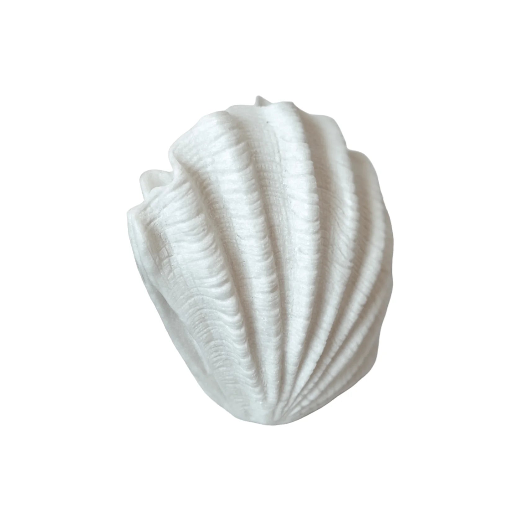 Scallop Resin Outddoor Lamp 35.5x18x28cm - Pure Apotheca