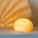 Scallop Resin Outddoor Lamp 35.5x18x28cm - Pure Apotheca