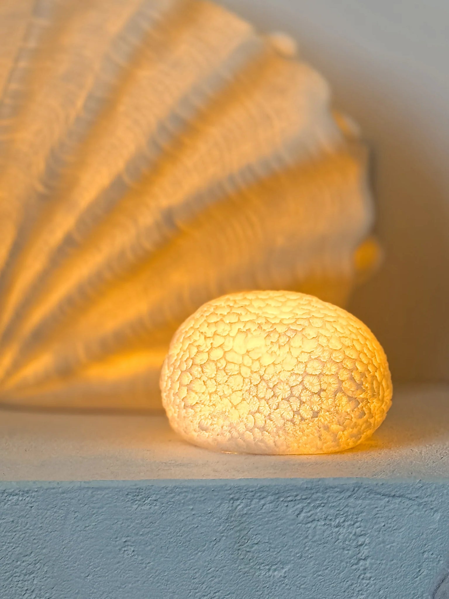 Scallop Resin Outddoor Lamp 35.5x18x28cm - Pure Apotheca
