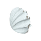 Scallop Resin Outddoor Lamp 35.5x18x28cm - Pure Apotheca