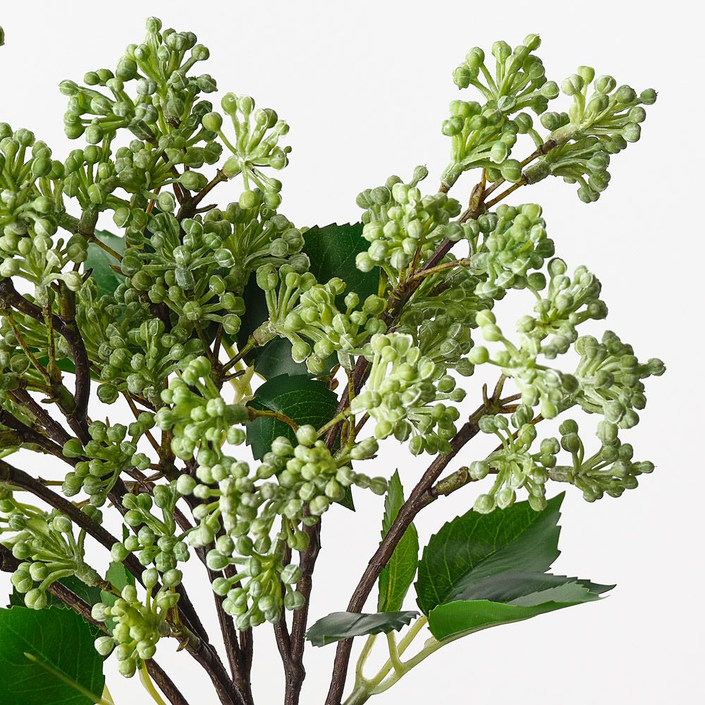 Sedum Bouquet Grey Green 38cm - Pure Apotheca