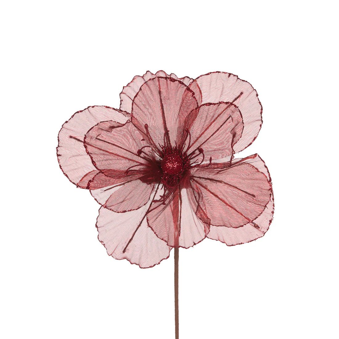 SHEER BURGUNDY CAMELLIA - Pure Apotheca
