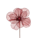 SHEER BURGUNDY CAMELLIA - Pure Apotheca