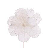 SHEER IVORY LAYERED CAMELLIA - Pure Apotheca