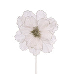 SHEER PLATINUM RUFFLE POINSETTIA - Pure Apotheca
