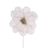 SHEER PLATINUM RUFFLE POINSETTIA - Pure Apotheca