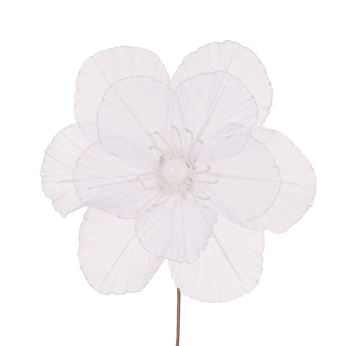 SHEER WHITE CAMELLIA - Pure Apotheca