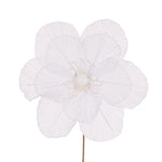 SHEER WHITE CAMELLIA - Pure Apotheca
