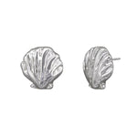 Silver Marine Scallop Earring - Pure Apotheca