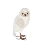 Sinder Arctic Owl White - Pure Apotheca