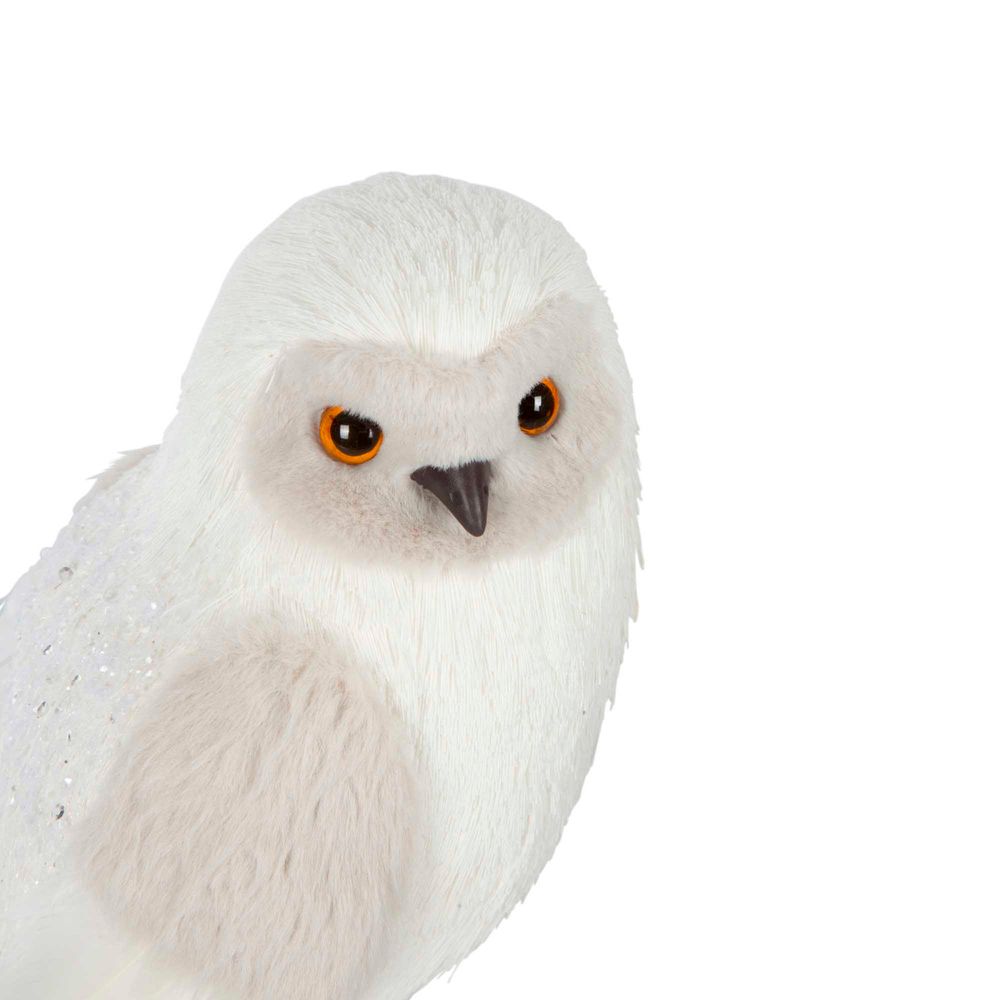 Sinder Arctic Owl White - Pure Apotheca