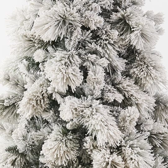 Snow Flocked Aspen Pine Tree 5ft/153cm - Pure Apotheca