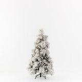 Snow Flocked Aspen Pine Tree 5ft/153cm - Pure Apotheca