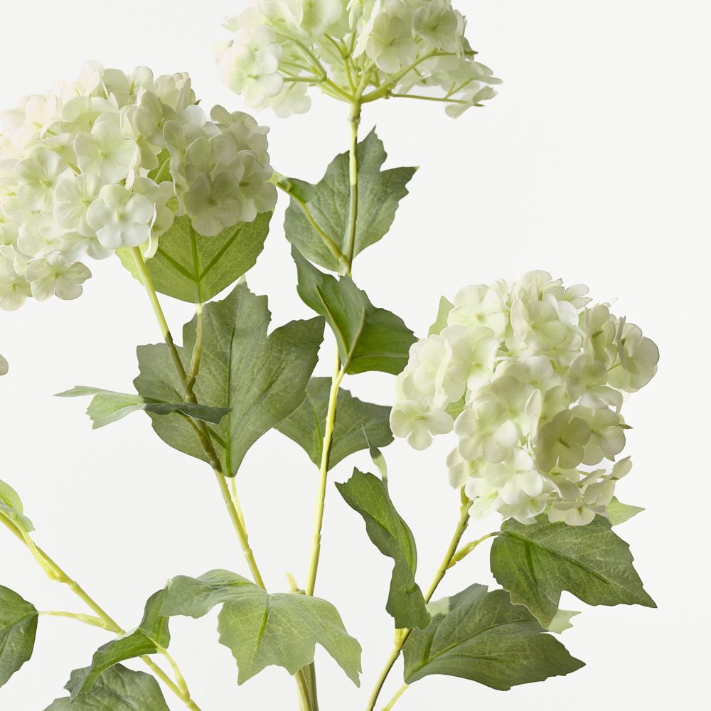 Snowball Spray Light Green 74cm - Pure Apotheca