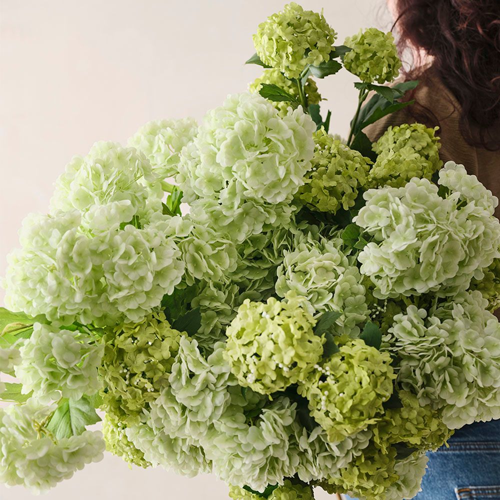 Snowball Spray Light Green 74cm - Pure Apotheca
