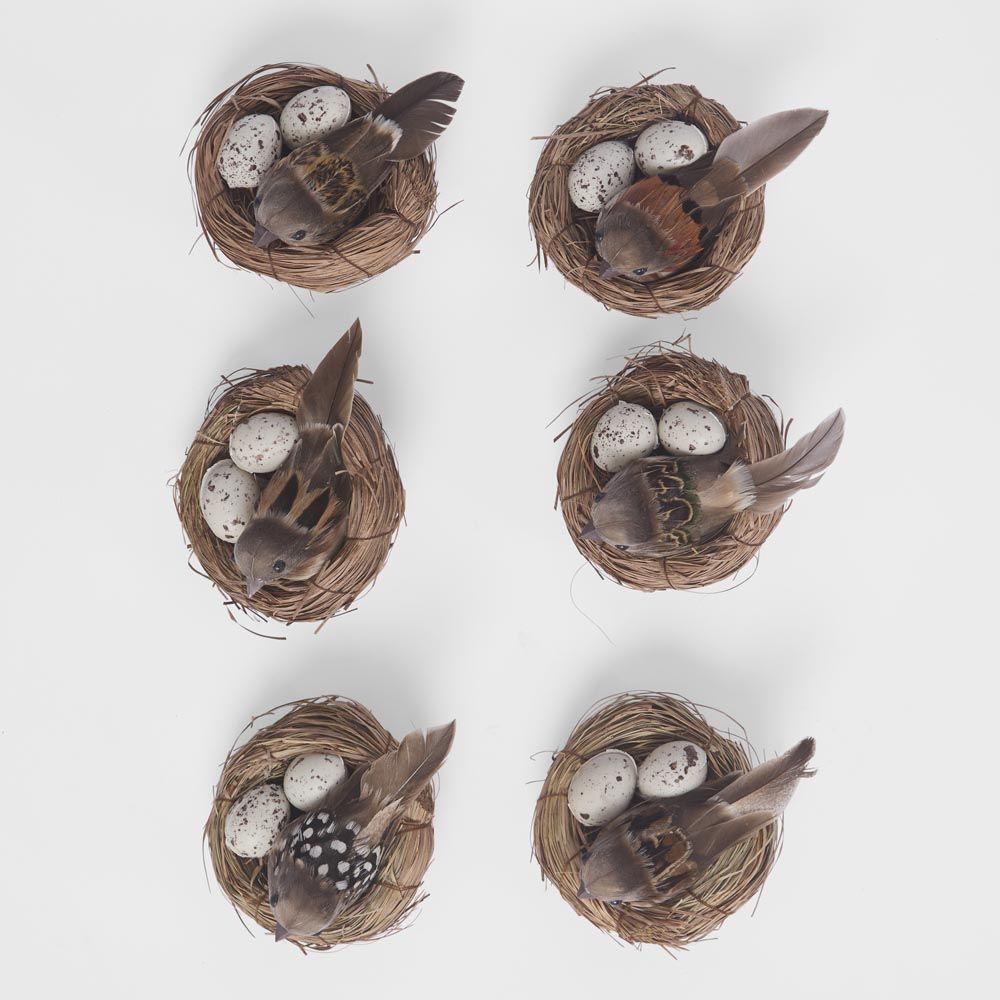 Springtime Nest Pack of 6 - Pure Apotheca