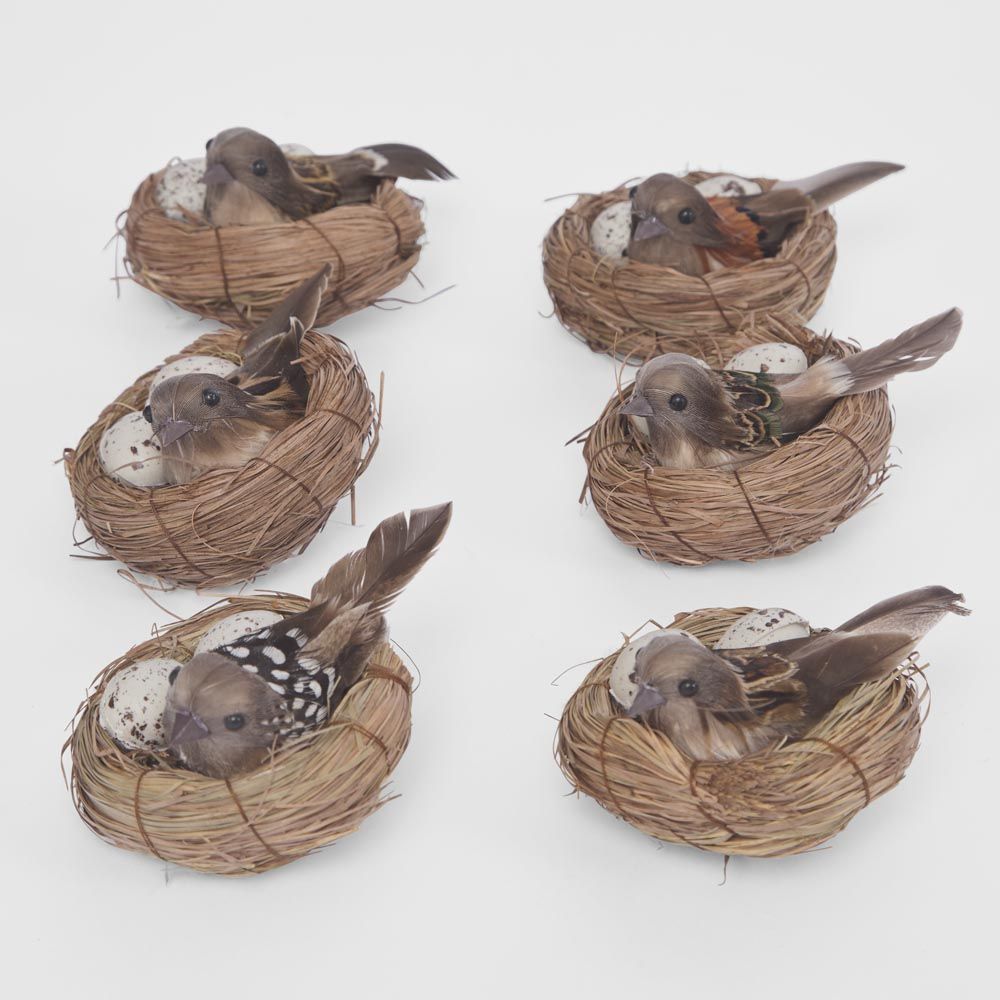 Springtime Nest Pack of 6 - Pure Apotheca