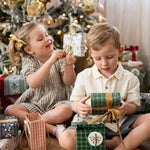 Spruce Tartan Small Gift Bag - Pure Apotheca