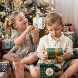 Spruce Tartan Small Gift Bag - Pure Apotheca