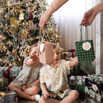 Spruce Tartan Small Gift Bag - Pure Apotheca