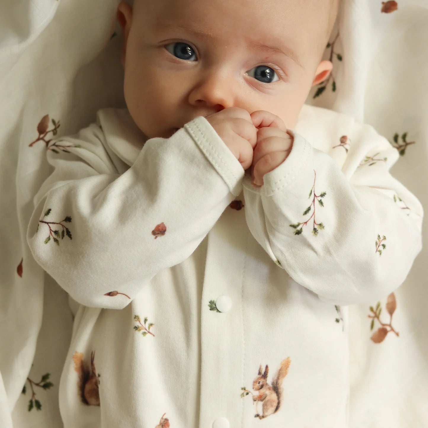 Squirrel Babygrow - Pure Apotheca