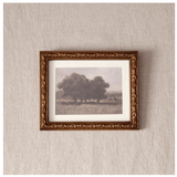 Stand of Trees Wall Art - Pure Apotheca