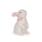 STANDING COSMOS BUNNY - Pure Apotheca