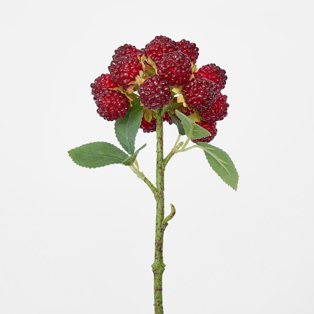 Sugared Raspberry Spray - Pure Apotheca