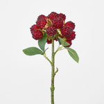Sugared Raspberry Spray - Pure Apotheca
