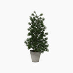 Table Pine Tree Medium - Pure Apotheca