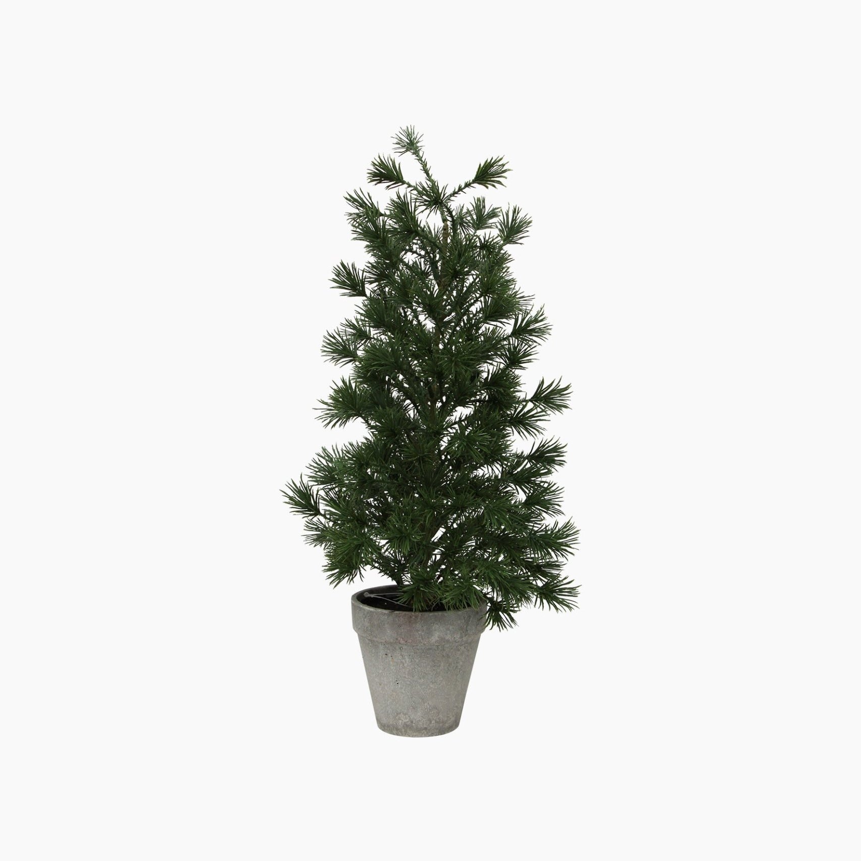 Table Pine Tree Medium - Pure Apotheca