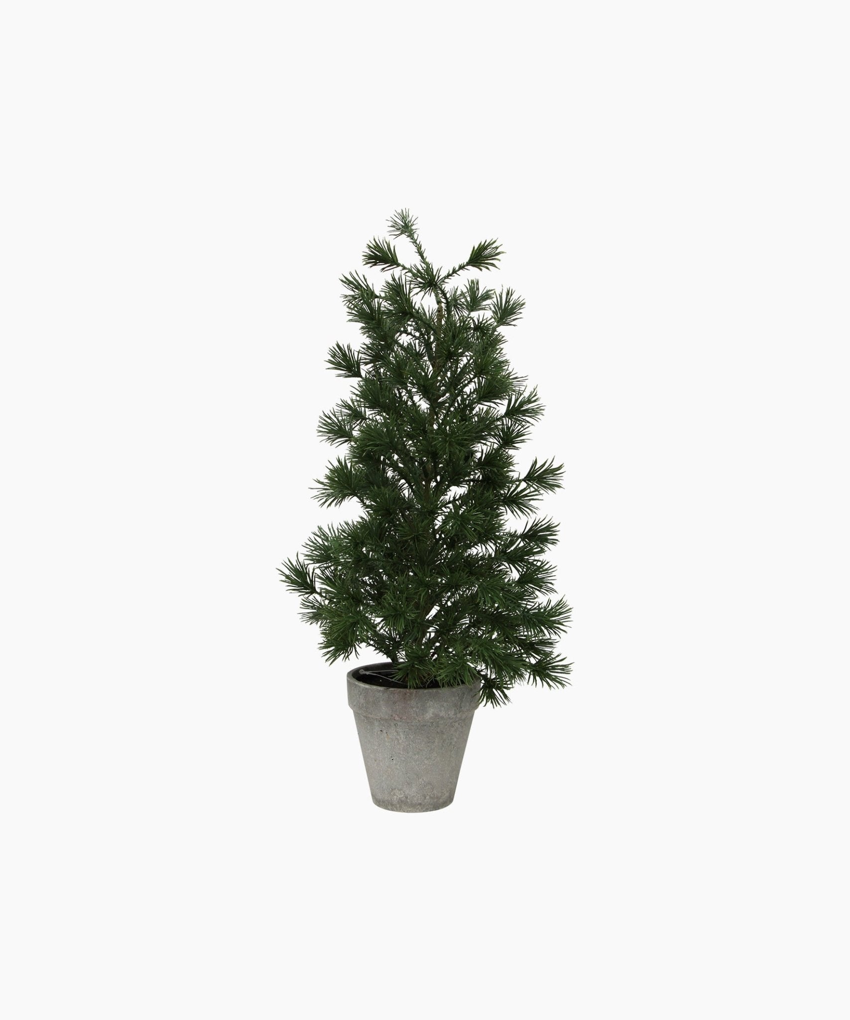 Table Pine Tree Medium - Pure Apotheca