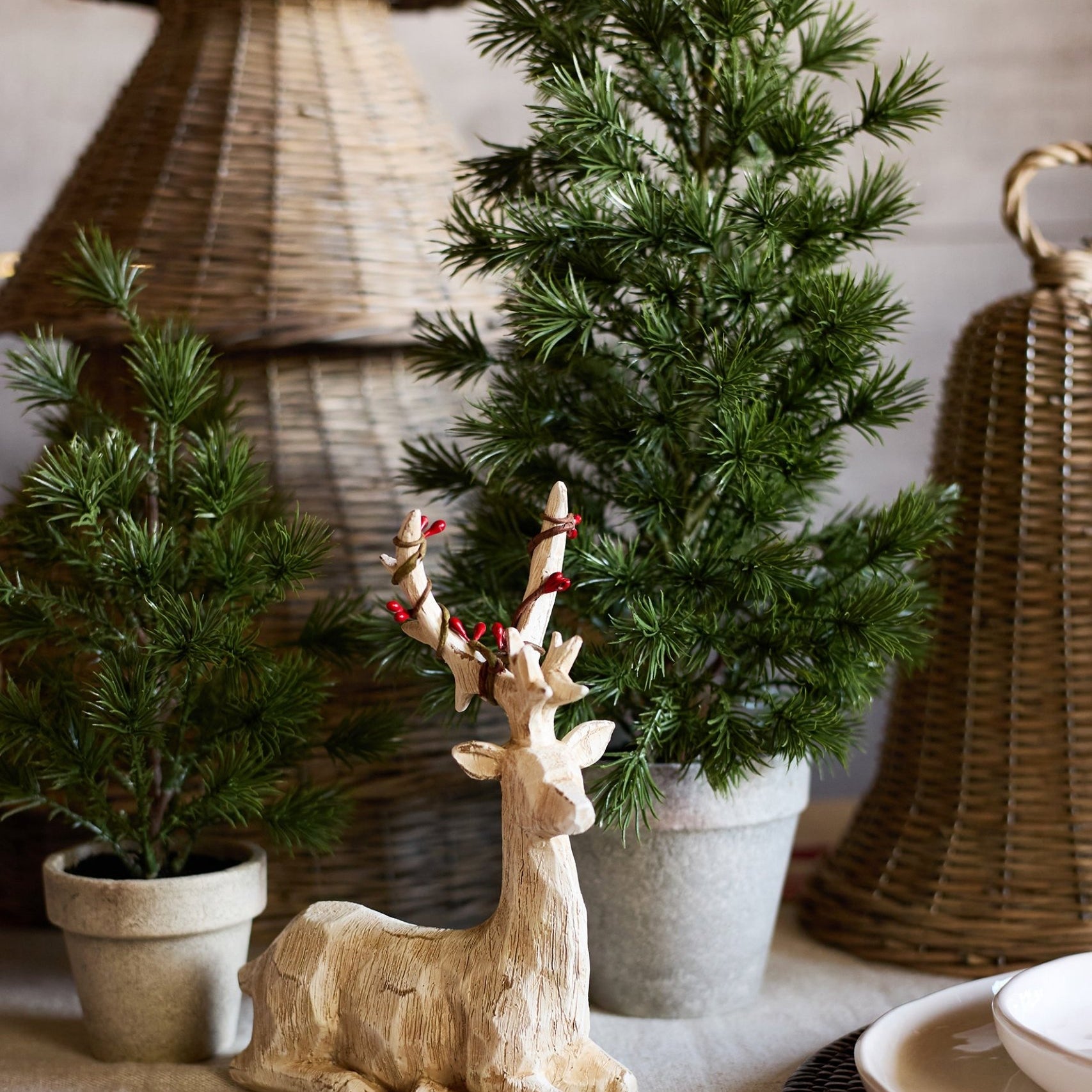 Table Pine Tree Medium - Pure Apotheca