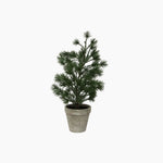 Table Pine Tree Small - Pure Apotheca